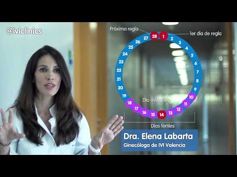 IVI - ¿Cómo puedes calcular tus días fértiles?