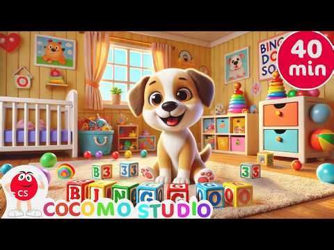 40 Minutes of BINGO Songs 🐶 | Interactive Toddler Learning & Nursery Rhyme Video