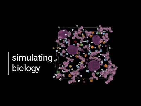 Simularium: Accelerating discovery by animating insight
