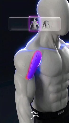 PRANAV MULIK | ONLINE TRAINER INDIA on Instagram: "🔥 Shoulder Workout Guide (Front • Side • Rear) 🟥 Front Delts (Anterior) 👉 Builds front shoulder size & pressing strength Exercises: • Dumbbell Front Raise • Barbell Plate Raise • Overhead Press (DB/Barbell/Smith) • Arnold Press Tip: Control the lowering phase. Don’t swing the weight. ⸻ 🟦 Lateral Delts (Side) 👉 Gives wide, capped shoulders (V-taper look) Exercises: • Dumbbell Lateral Raise • Cable Lateral Raise • Lean Away Raise • Machine La