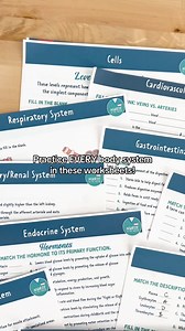 Unlock the Secrets of Anatomy & Physiology! Get Free Help Today and Take Your Understanding to the Next Level. | Nurse In The Making
