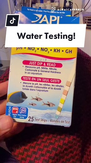 Aquarium Water Testing with API 5-in-1 Test Strips