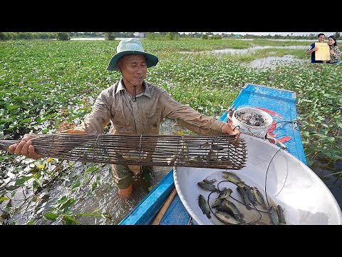 Về Quê Phan Diễm đặt Xà Di Đổ Dớn bắt Cá Đồng Mùa nước nổi Miền Tây nấu bữa cơm dân dã Siêu Ngon
