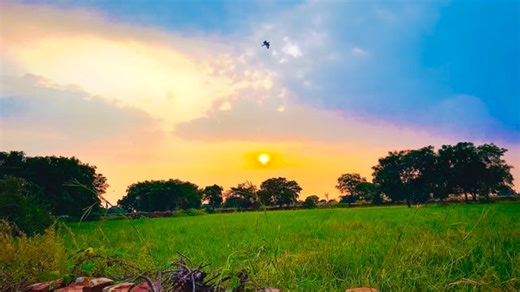 chintu gujjar 08 | 😍👀 follow 🌿 #viral #trending #naturephotography #natureview #trending #explore #naturelovers | Instagram