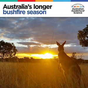 In parts of Australia, the bushfire season has already begun. | Australian Academy of Science