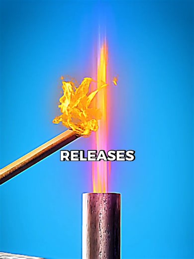 Emergency Remedies for Cow Bloat