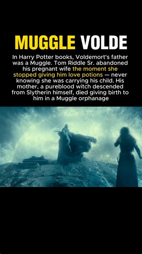 Voldemort's muggle origin #harrypotter