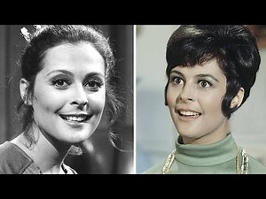 La Vida y El Triste Final de Brenda Benet