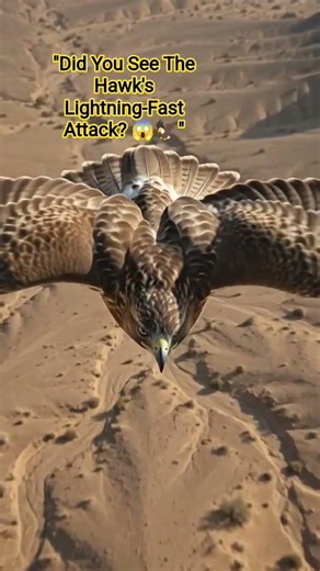 🦅 Hawk Hunting Footage | Amazing Bird of Prey Attack 😱 | Nature Wildlife Shorts