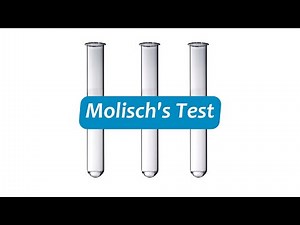 Molisch's Test