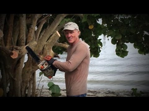 Greg Norman Almost Loses Hand in Chainsaw Accident