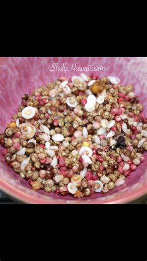 Crafting Niʻihau Shell Jewelry with Care