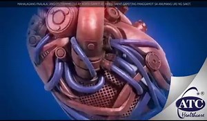 Coenzyme Q10 or also known as the "Heart Energizer" keeps the heart strong and well. ATC Coenzyme Q10 helps improve the heart’s pumping ability and allows a normal function by lowering viscosity of the blood. It also aids in lowering the blood pressure which also helps all our vital organs function well. With ATCCoenzyme Q10, you're in good heart! Available at all Mercury Drug, Watsons, South Star Drug, The Generics Pharmacy, Generika, Rose Pharmacy, St. Joseph Drug, SM Supermarkets and other le