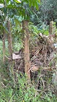 Composting Made Easy