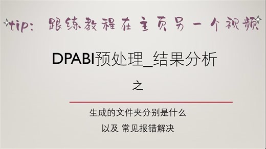dpabi预处理数据_结果分析_常见报错解决