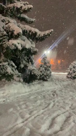 Snowy Winter Night Scene with Illuminated Trees