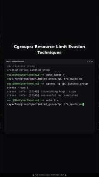 Cgroups: Resource Limit Evasion