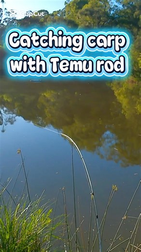 Catching carp with a Temu rod