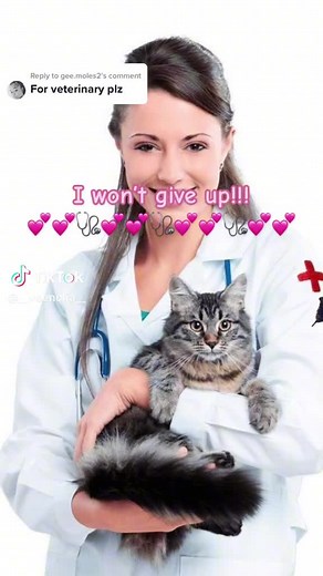 sarahwollings (@sarahwollings)’s videos with original sound - sarahwollings