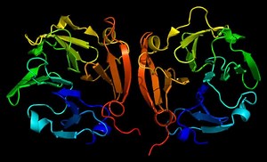 Matrix metalloproteinase - Alchetron, the free social encyclopedia