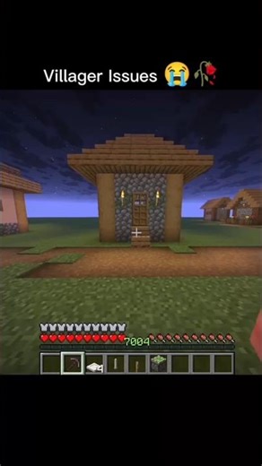 Minecraft Villager Problem Everyone Has #minecraft #villager #help