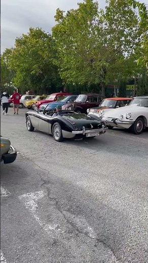 Austin-Healey, a marvelous classic #autishealey #classiccars