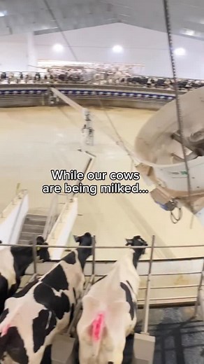 Clean barn = clean cows 🧼🐄😄 | McCarty Family Farms