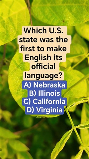 Which U.S. state was the first to make English its official language?