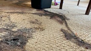 1M views · 3.5K reactions | Body outline! It doesn't take long to decompose in the heat. | Spaulding Decon -Tampa FL | Facebook