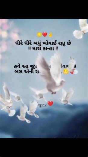 # new gujrati shayeri. @ song by rohit thakor ❤️‍🩹.@ broken heart ❤️😘 shayeri jova subscribe Karo