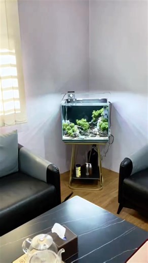 Aqua scaping #aquarium #aquatic #aquascape #aquascaping #aquascapingworld #aquascapingindia #aquascapinggermany #AquascapingCommunity #aquascapinguk | Aqua.scaping