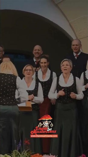 Them Mushrooms - Jambo Bwana (Ambidravi Vocal 2023 - Erich Auer) | AfroPop #shorts3