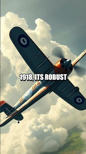 The Ingenious Fokker D.VII