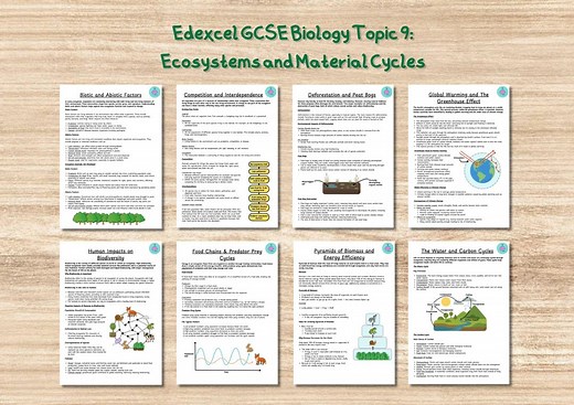 GCSE Biology Revision Notes Edexcel: Topic 9 Ecosystems and Material Cycles - Etsy