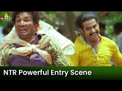 NTR Powerful Entry Scene | Yamadonga | SS Rajamouli | Telugu Movie Scenes ‪@SriBalajiMovies‬