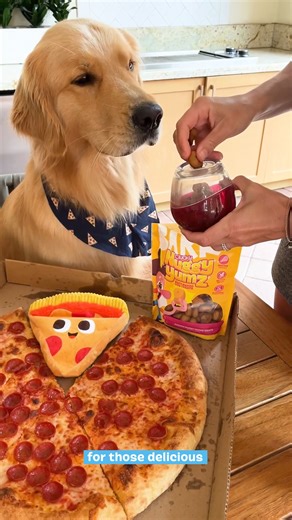 1.5M views · 7.5K reactions | The perfect date for National Dog Day? Pizza and wine with your dog. Shop BARK toys + treats at Target! | BARK | Facebook