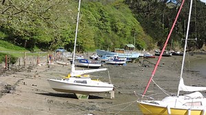 Nikon COOLPIX P600 sample movie: tripod pan