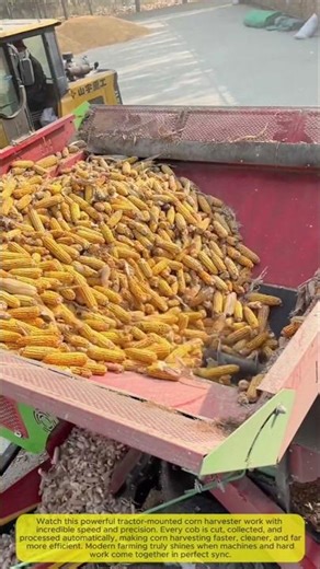 Tractor-Mounted Automatic Corn Harvester in Action 🌽🚜✨