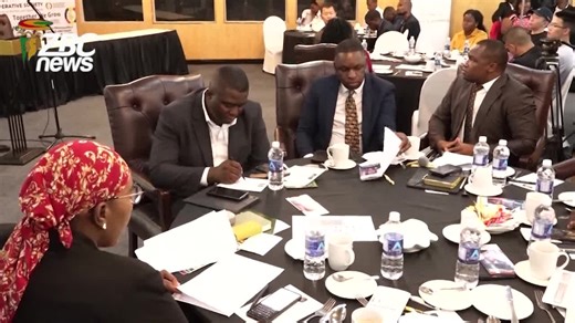 Zimbabwe's Crackdown on Business Fronting in Reserved Sectors