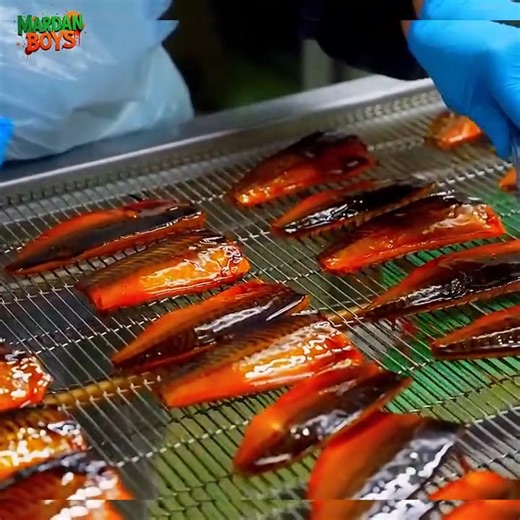 A Japanese seafood factory processes 8 tons per day | Funniest Family Moments TV