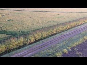 Texas Helicopter Hog Hunt with 12 gauge shotgun