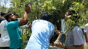 Pakistanis planting trees to tackle climate change