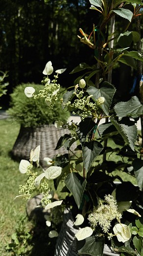 102K views · 694 reactions | Rusting corten steel by hand is very...