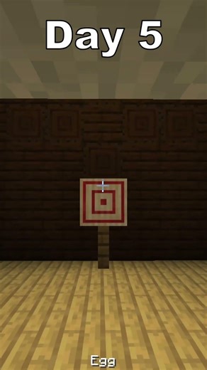 Throwing An Egg Every Day Until I Get A Chicken (Day 5)