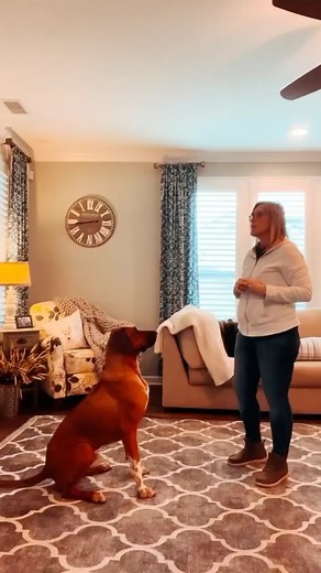 So many of us feel like we are losing control when our dogs don’t “listen” so we feel it necessary to repeat ourselves over and over. And most of the time when this happens, our tone of voice changes into something less than happy; the result….a dog that won’t listen. Repeating your verbal cue over and over can have negative effects on your training. For one it can be confusing to your dog, especially if they are just learning. You may accidentally teach them that the verbal cue is “down down do