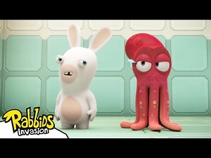 Rabbid Test n°98003-c : Los Animales 145 🤣🐙 | Rabbids La Invasión 🐰 | Dibujos animados