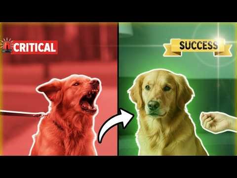 behavior modification dog training #dogtrainingtips #dogtrainingadvice #dogcoach