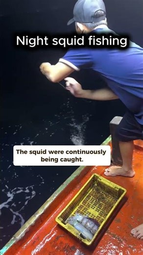 Making a living by catching squid at night. #squidfishing #fishinglife #sealife
