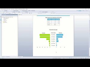 SAP BO WEBI Pyramide des âges