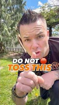 Do Not Toss This: Dandelion Root Coffee the Native Ways